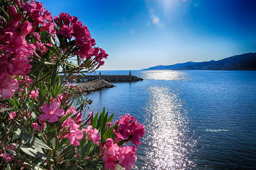 sunrise in Pomos fish harbor